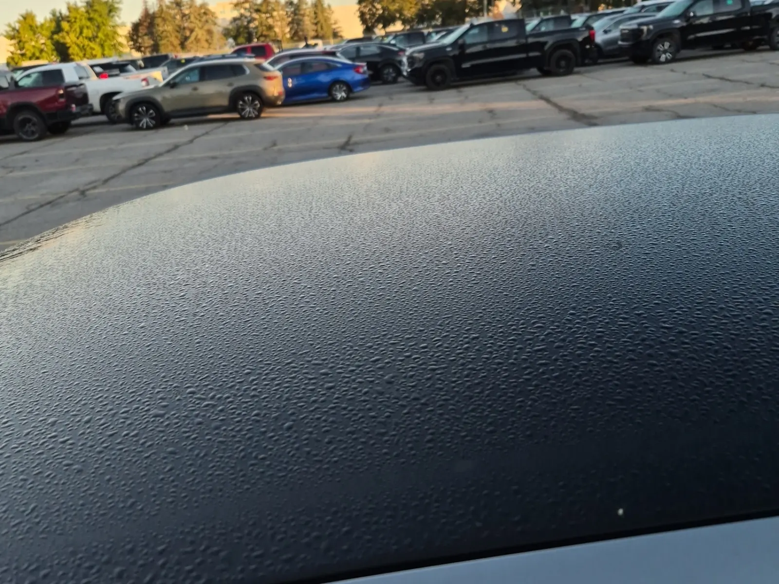 Exterior Roof Photo