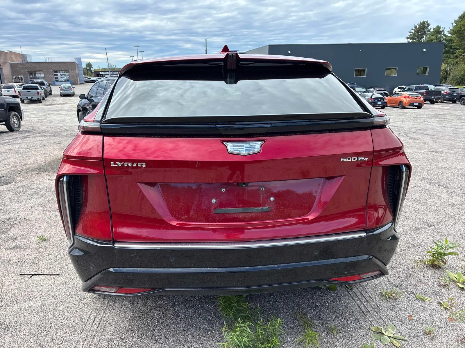 Back