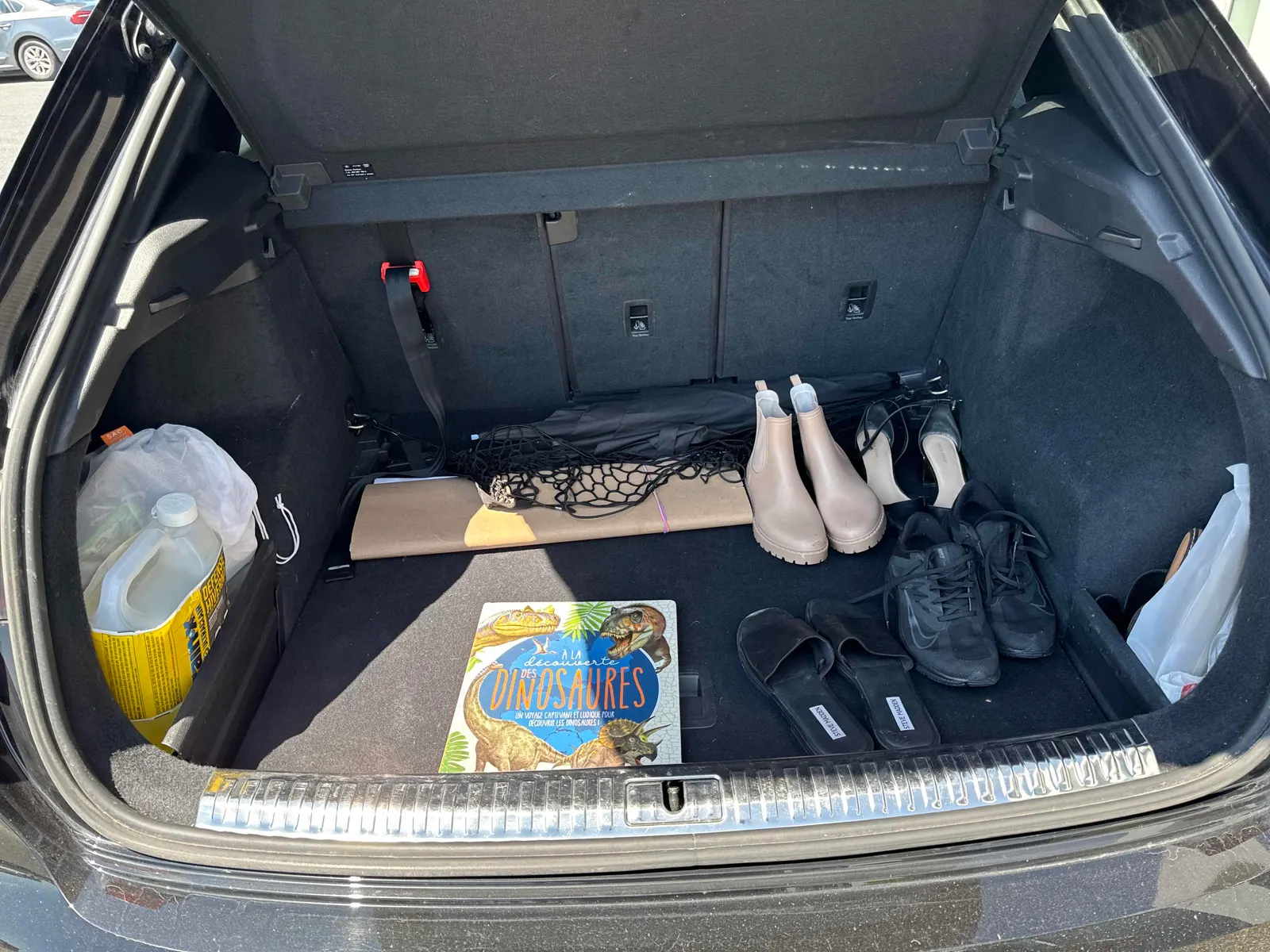 Additional Photo