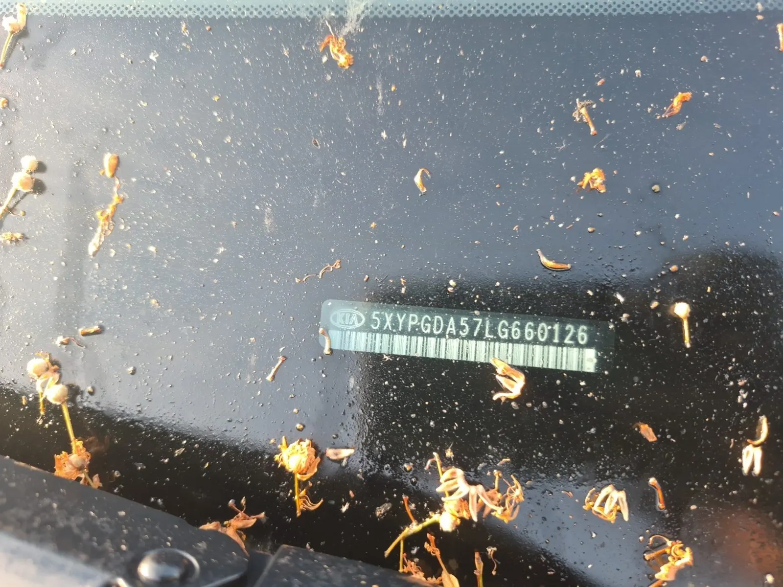 Dash VIN Plate Photo