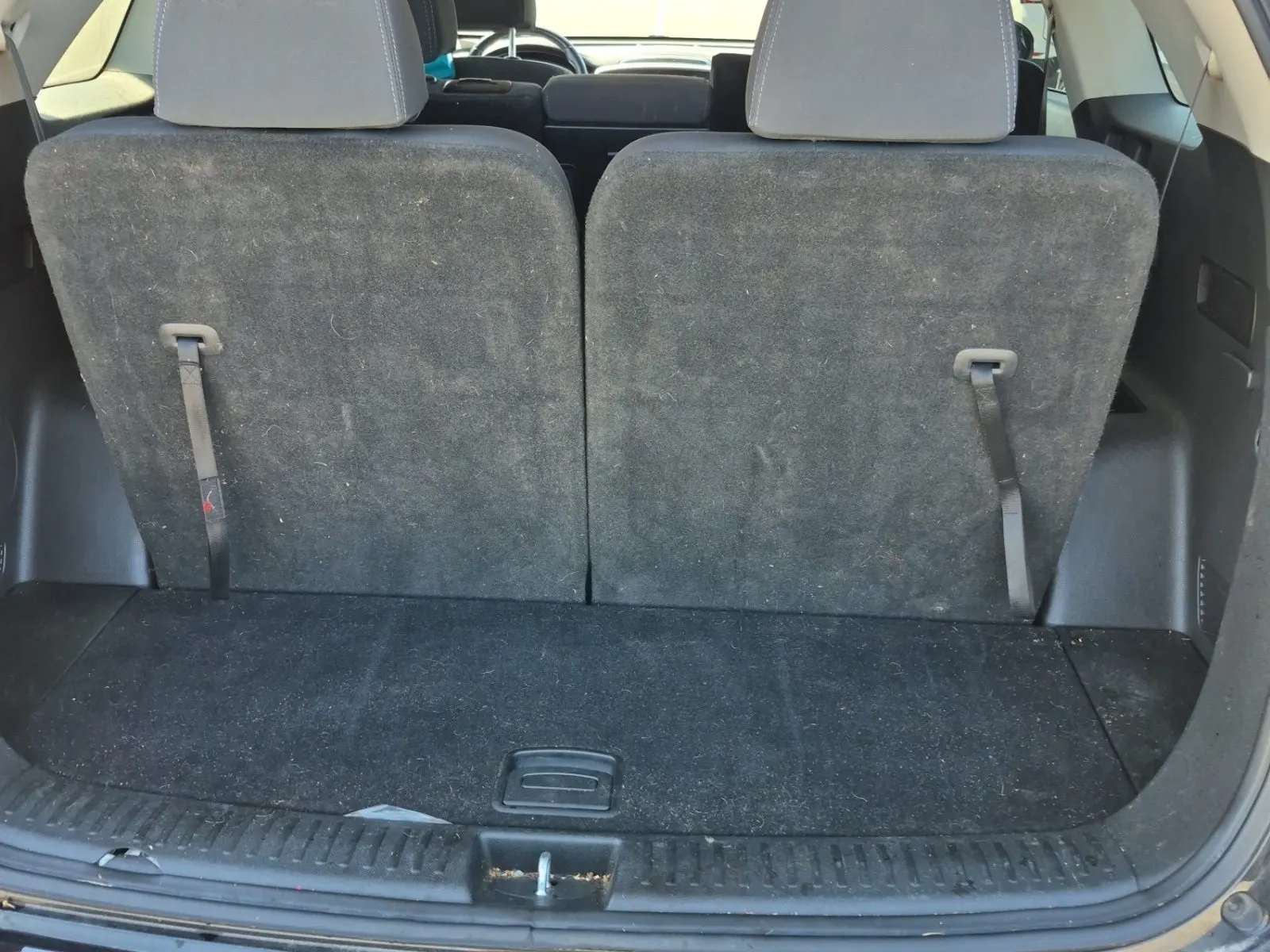 Cargo Area Photo
