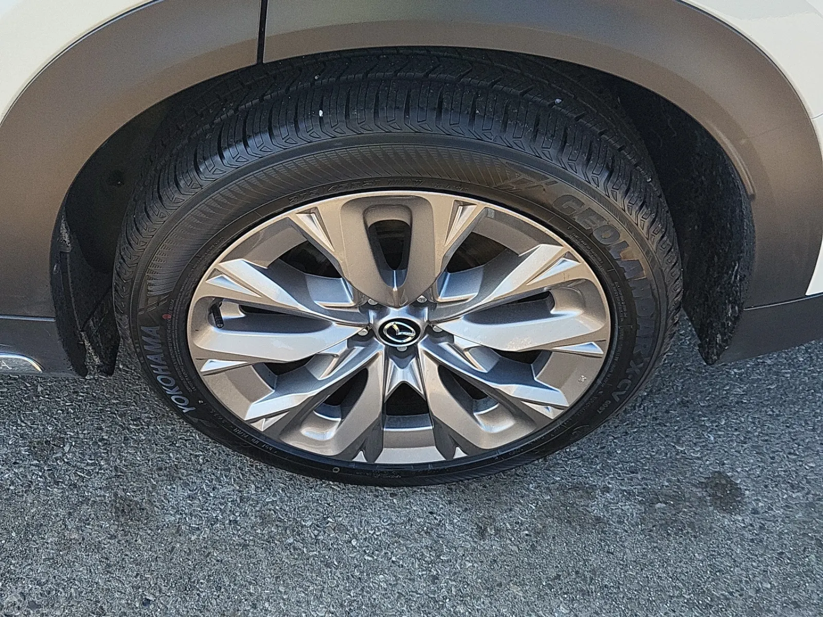 Left Rear Wheel/Tire Photo