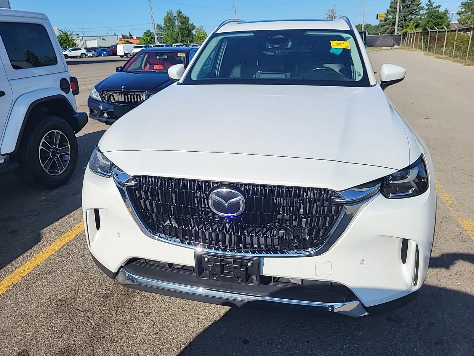 Full Front Photo