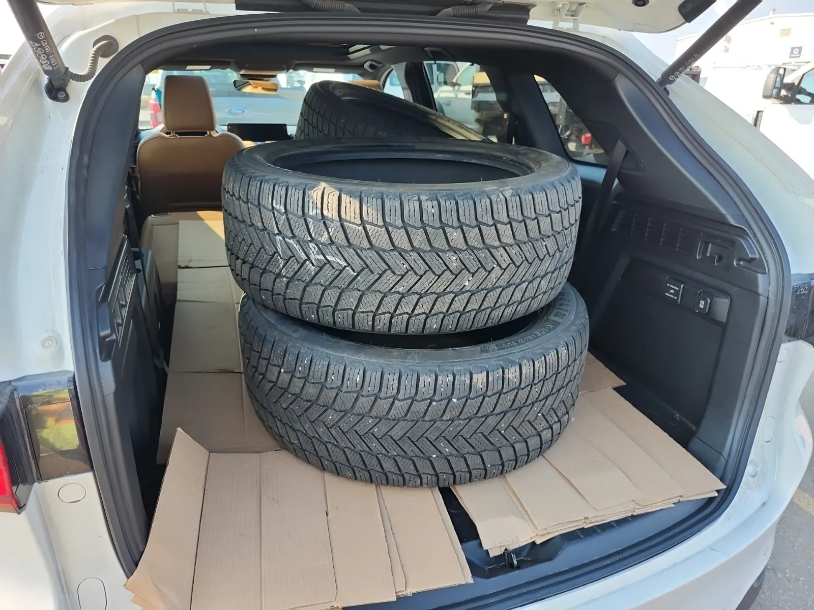 Cargo Area Photo