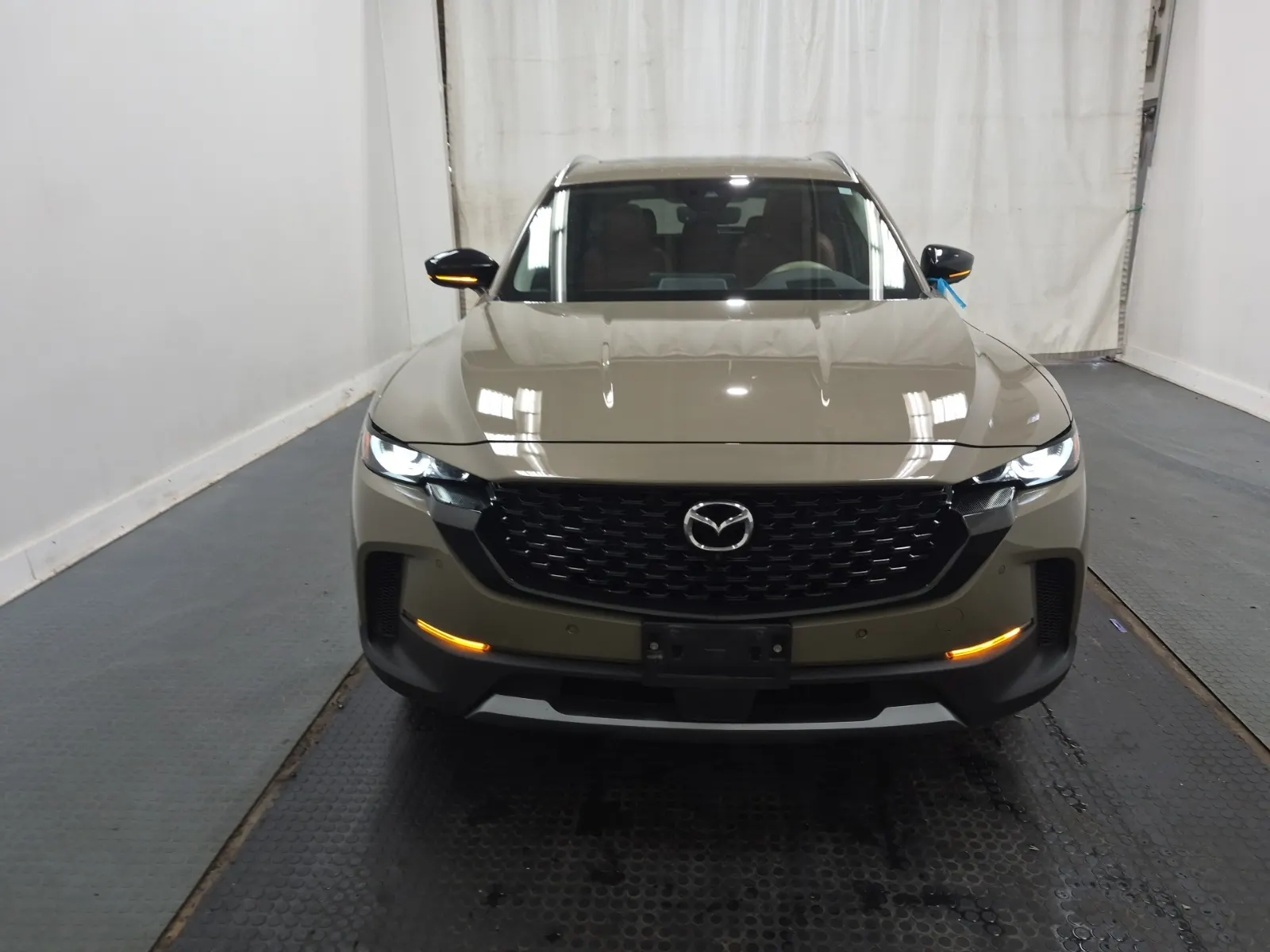 Full Front Photo