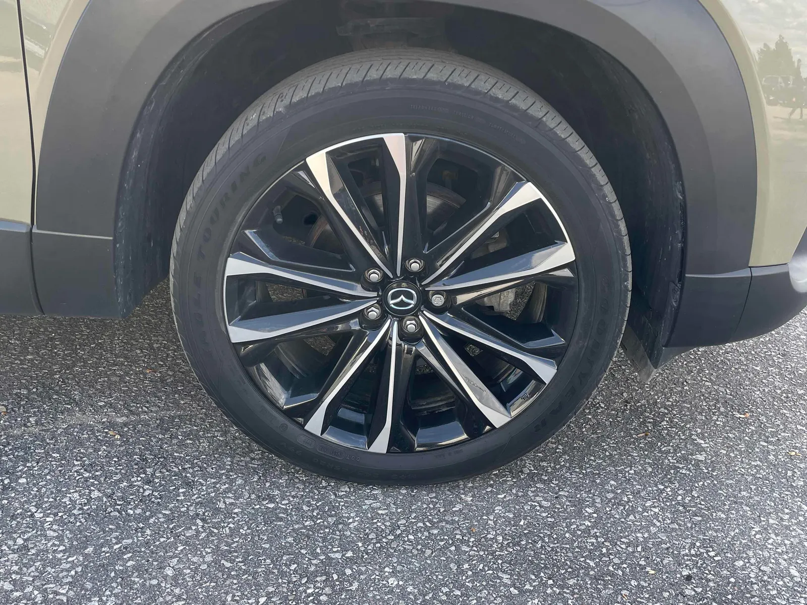 Tire