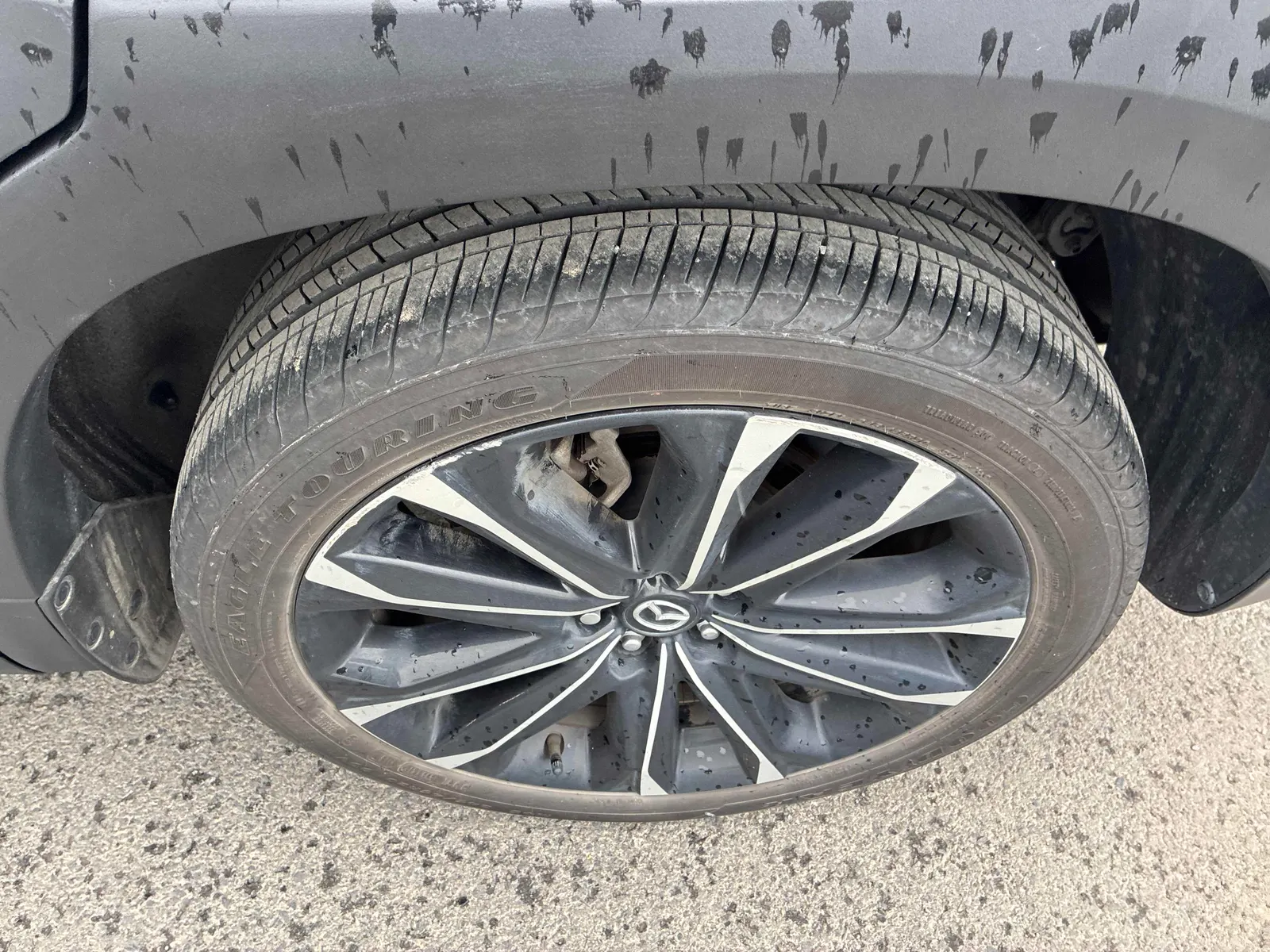Tire