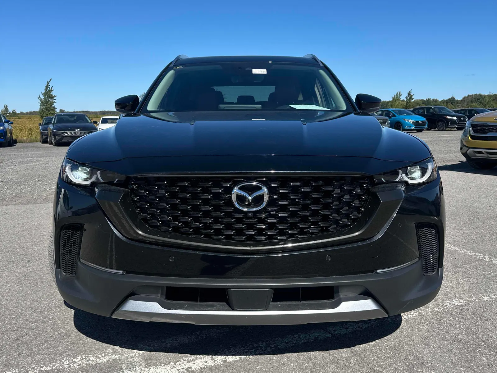 Front