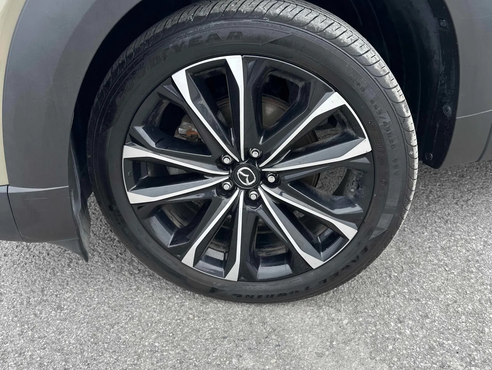 Tire