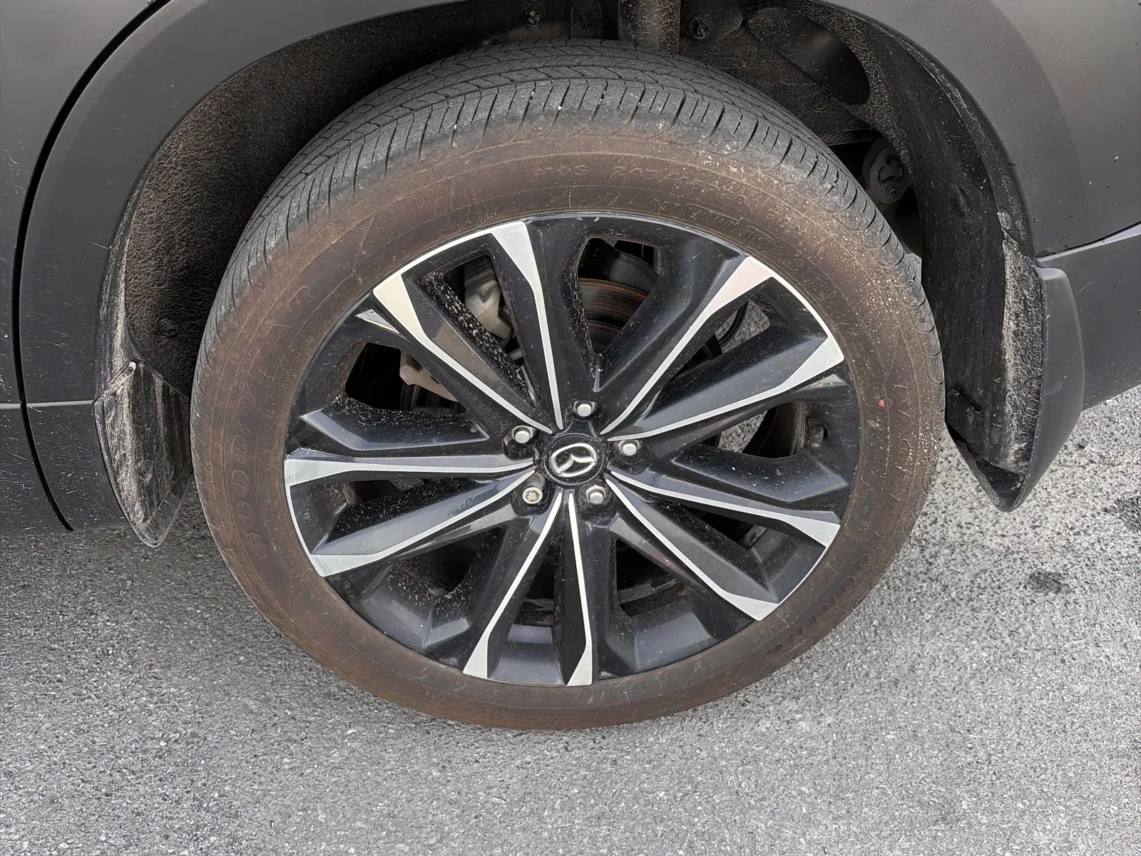 Tire