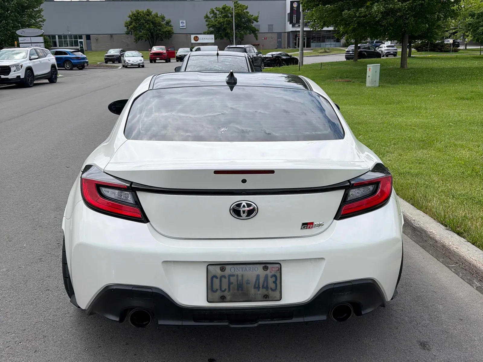 Back