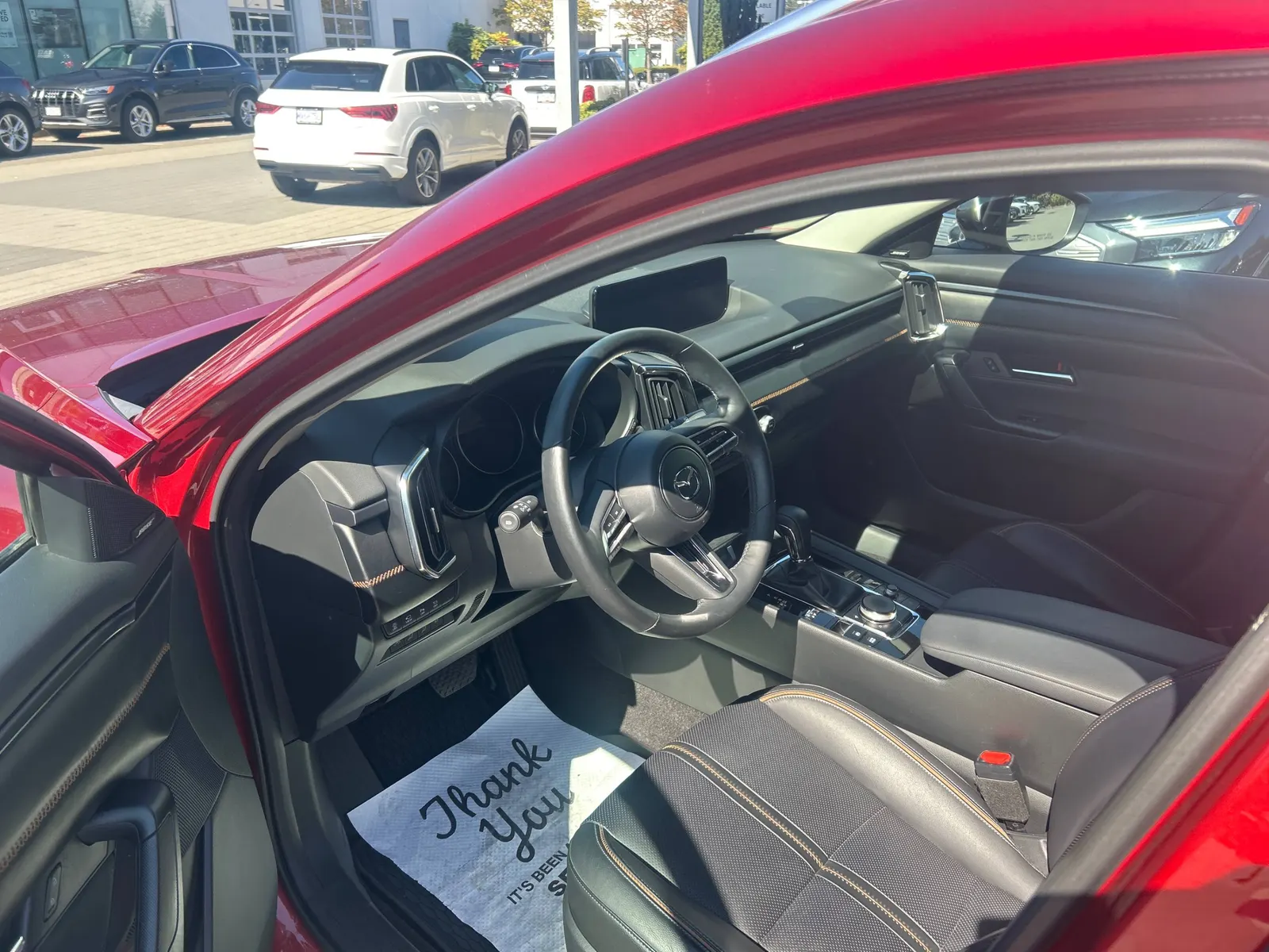 Interior driver side