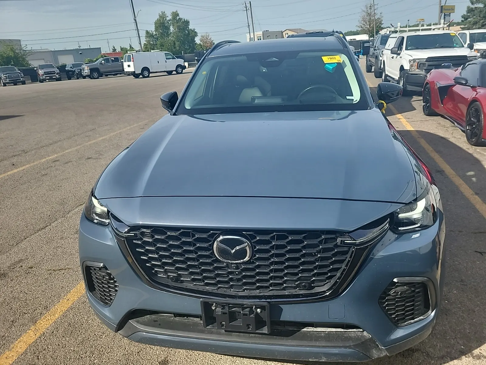 Full Front Photo