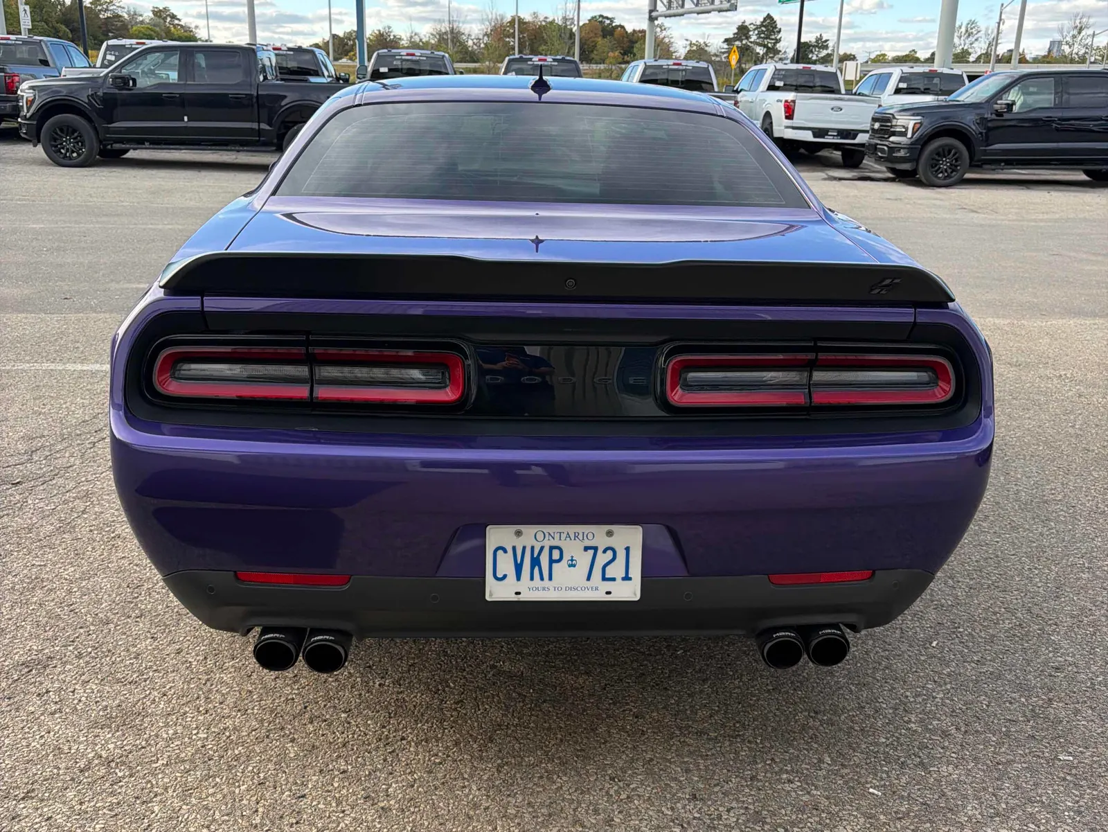 Back