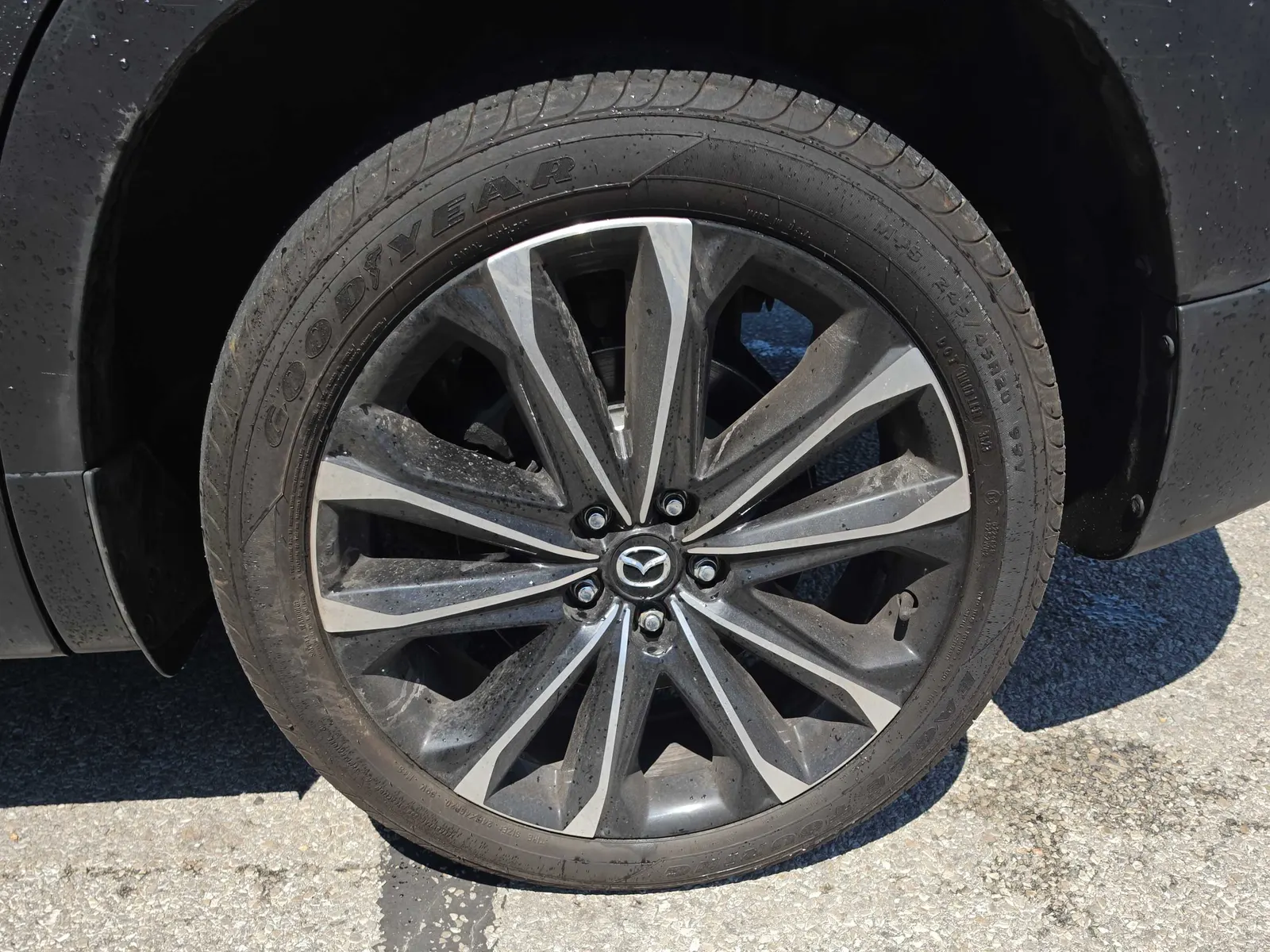 Tire