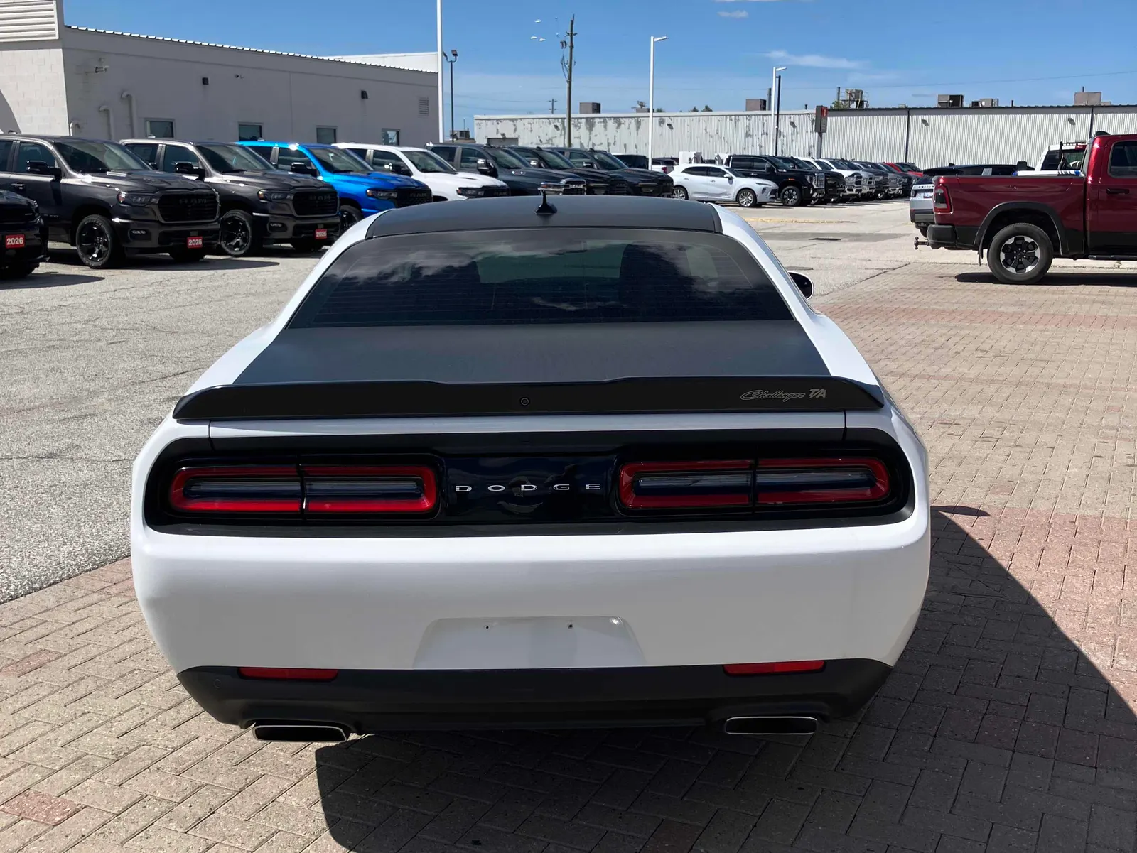Back