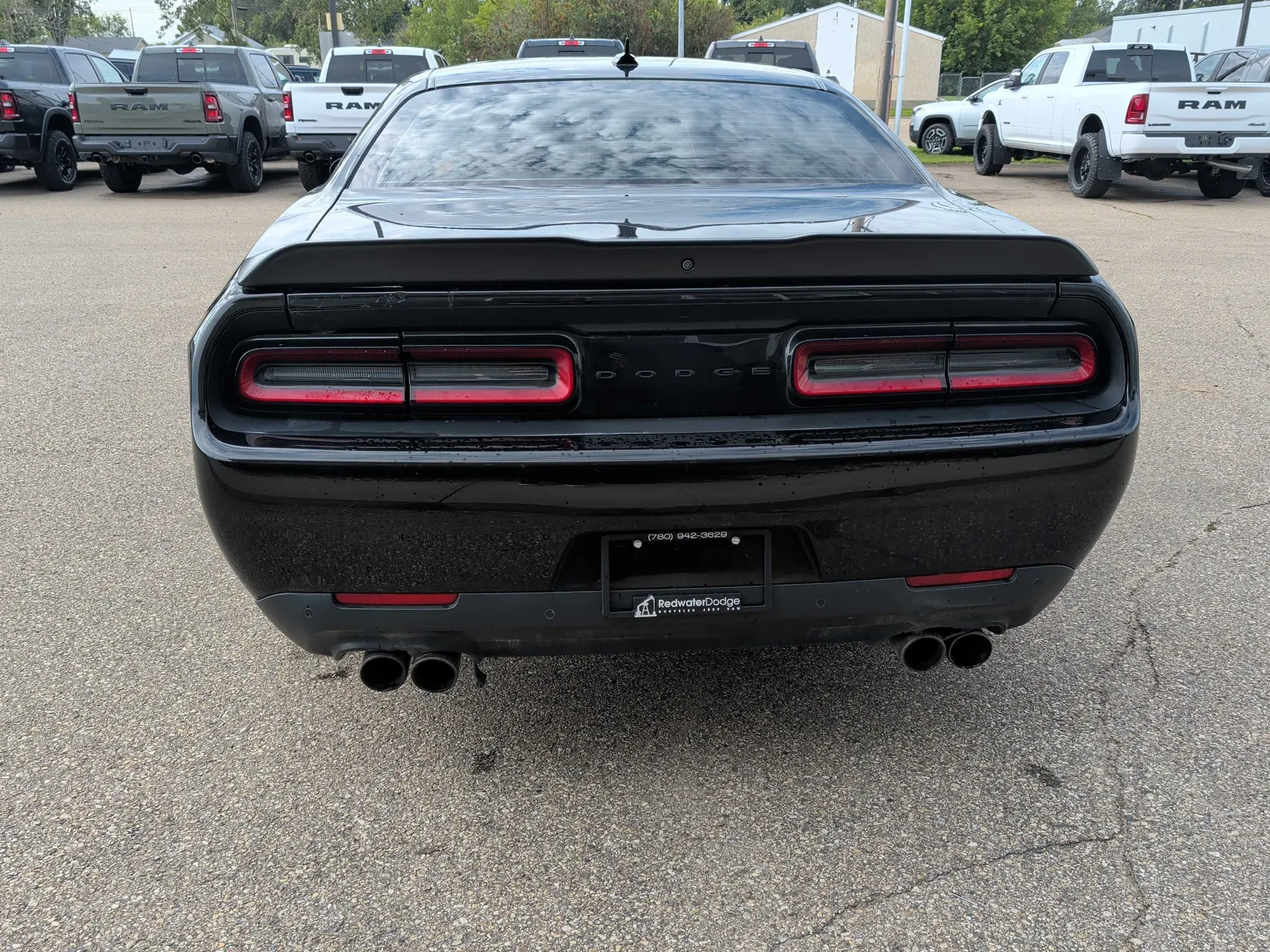 Back