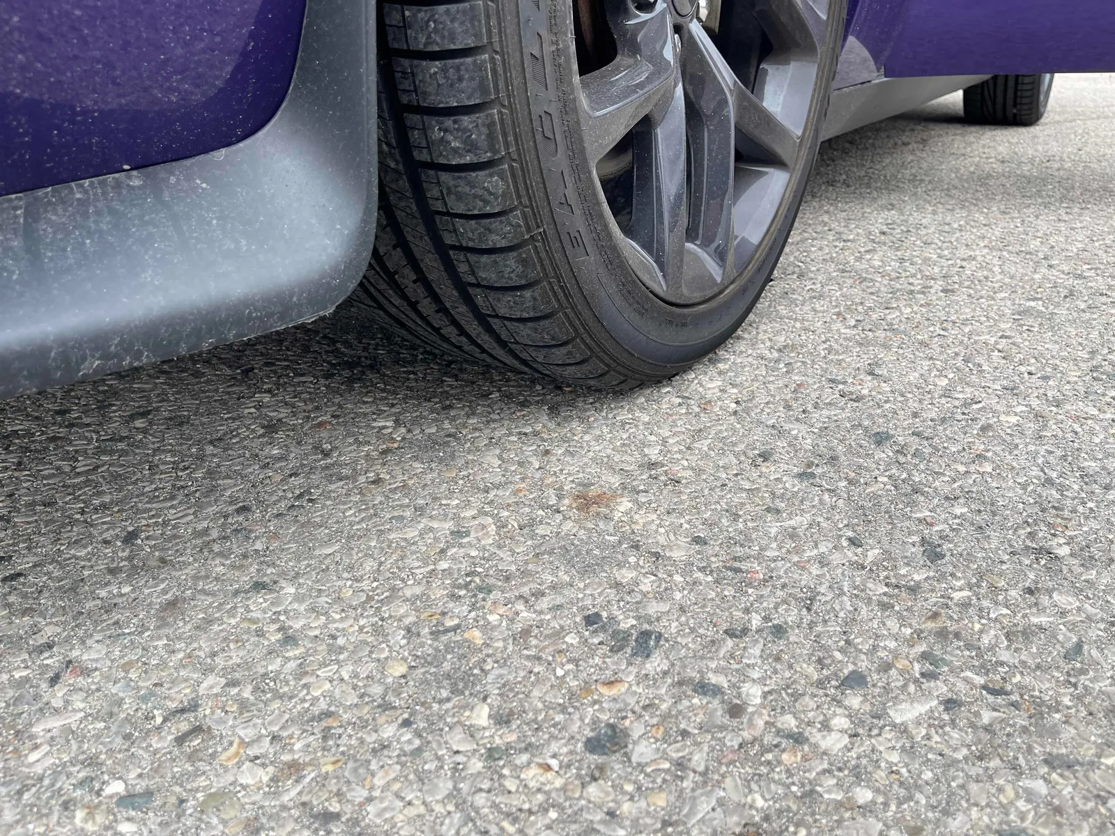 Additional Photo