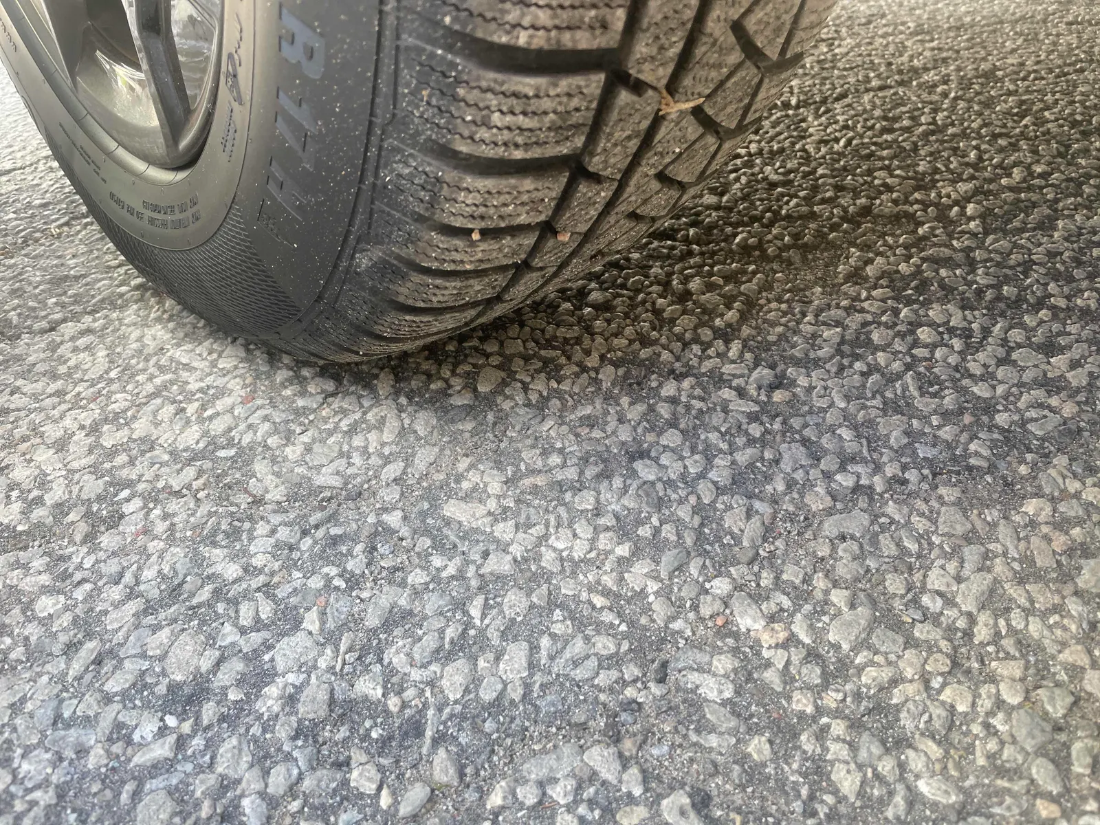 Additional Photo