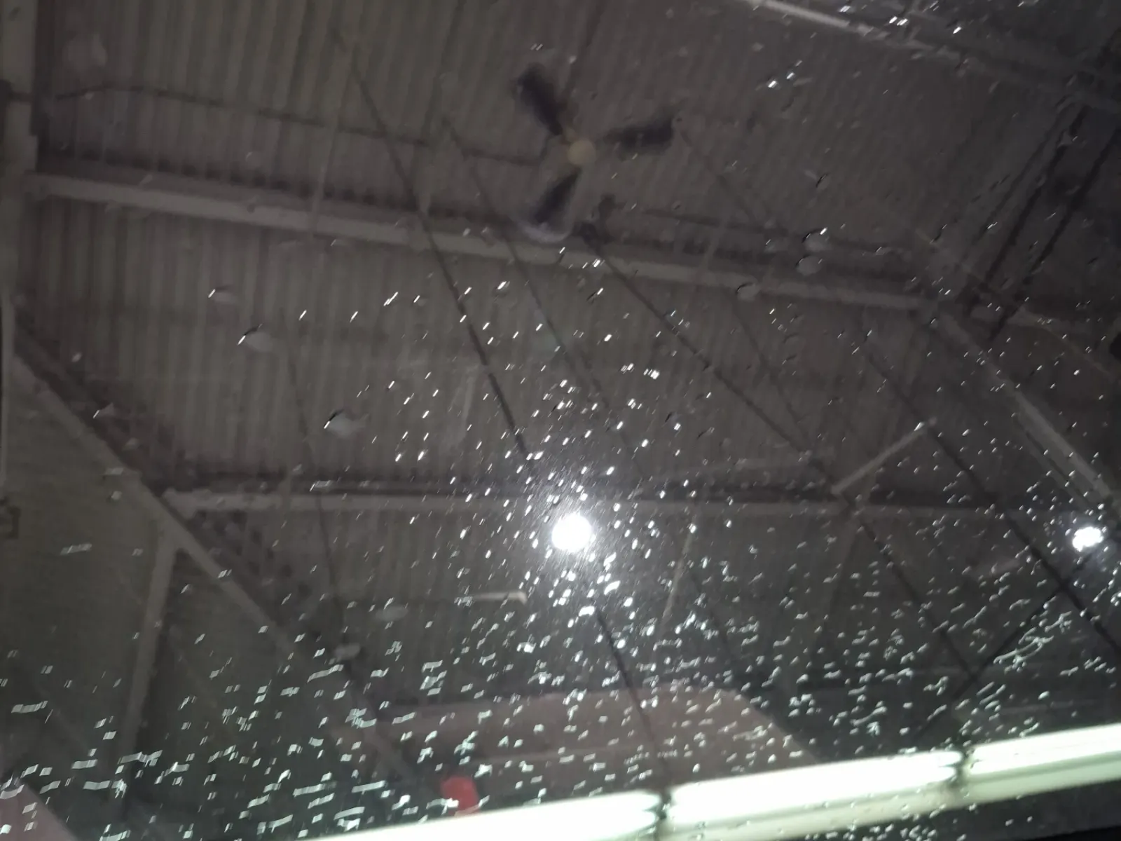 Interior Roof Photo