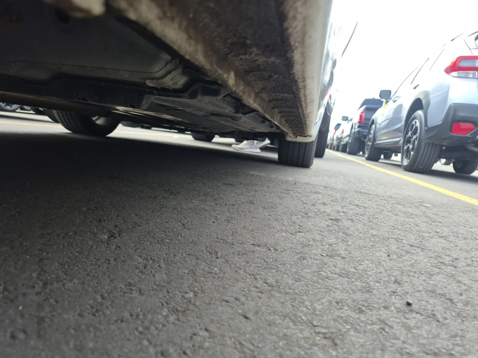 Undercarriage - Passenger Photo