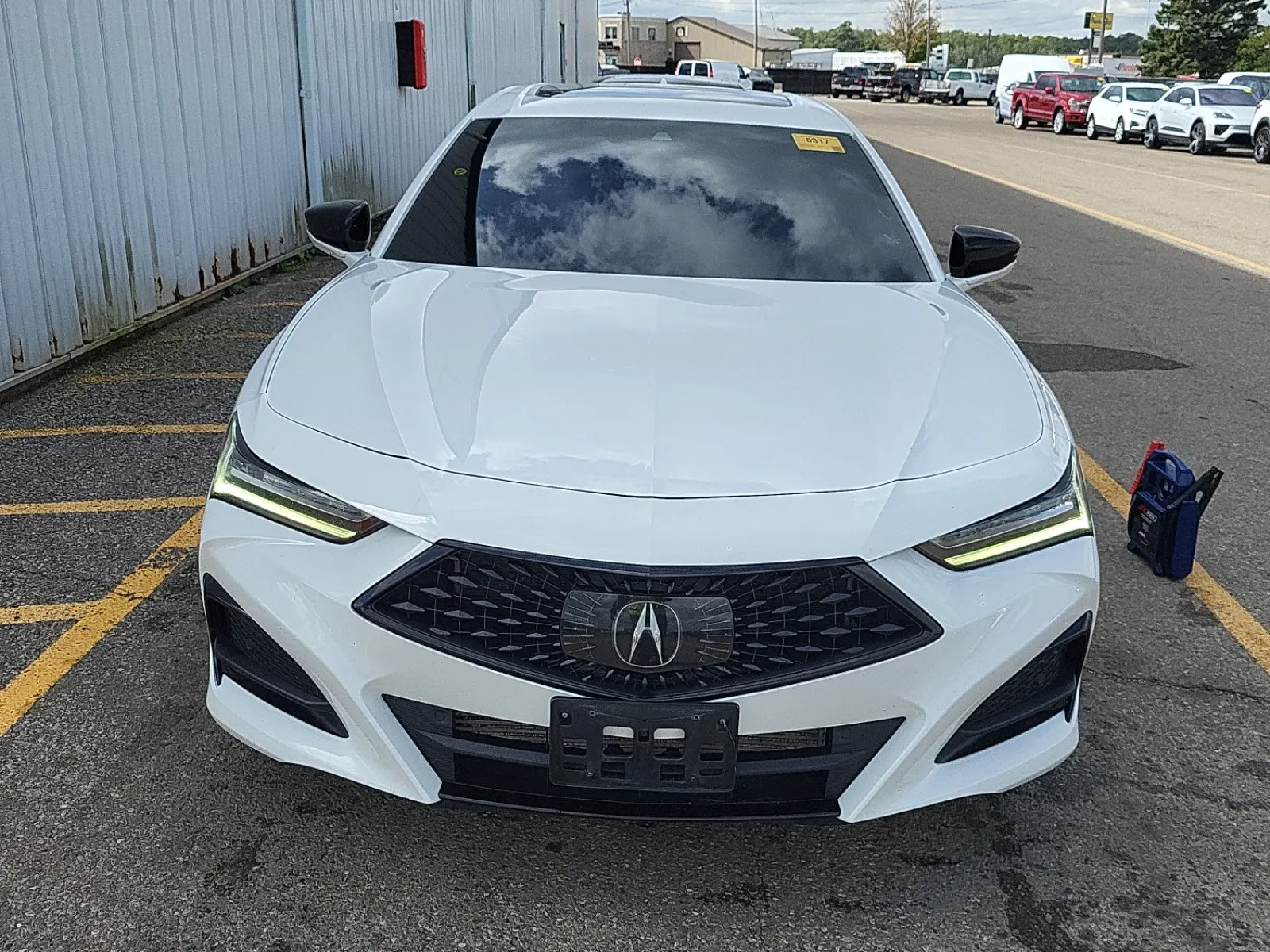 Full Front Photo