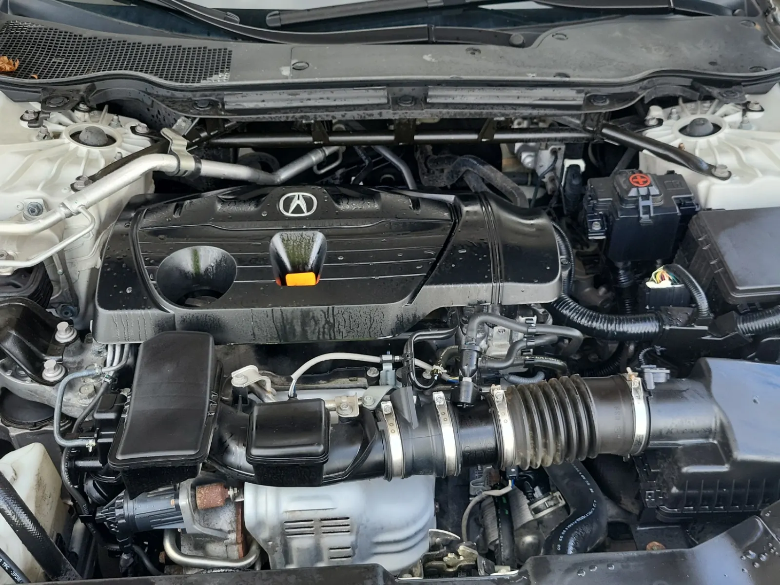 Engine Photo