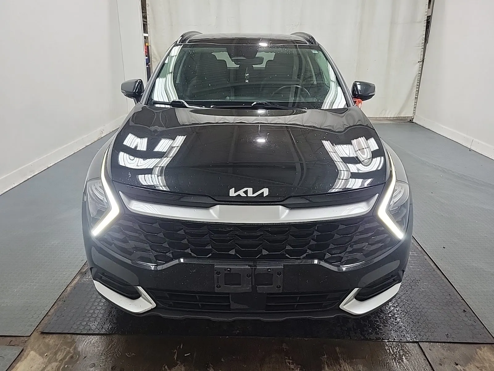 Full Front Photo