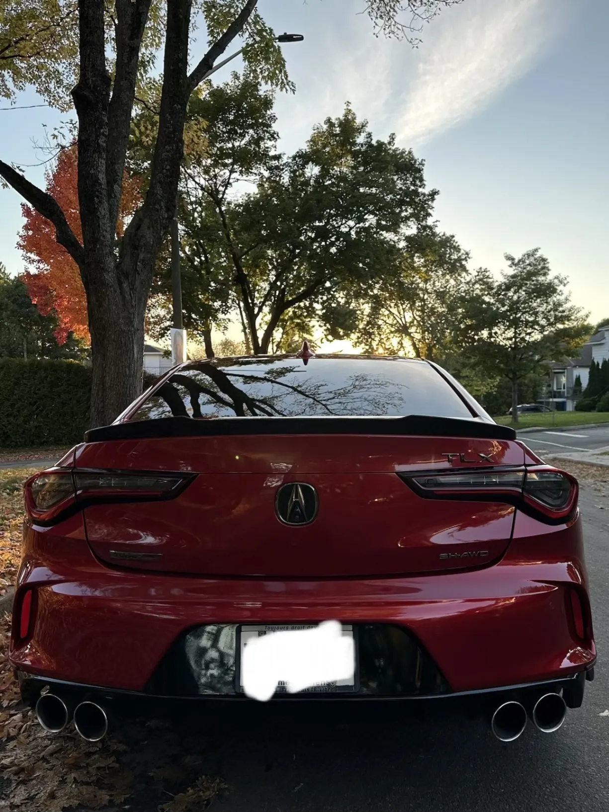 Back