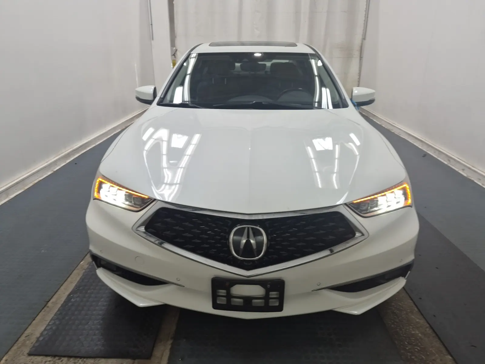 Full Front Photo
