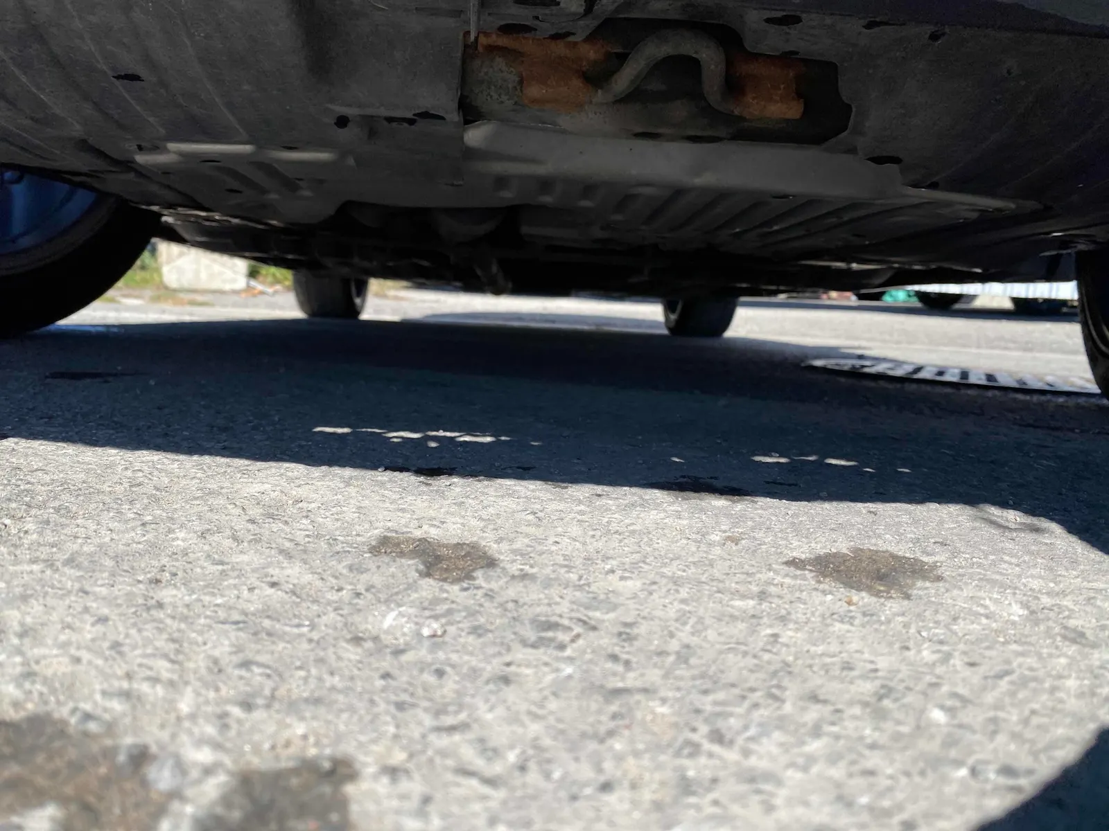 Additional Photo