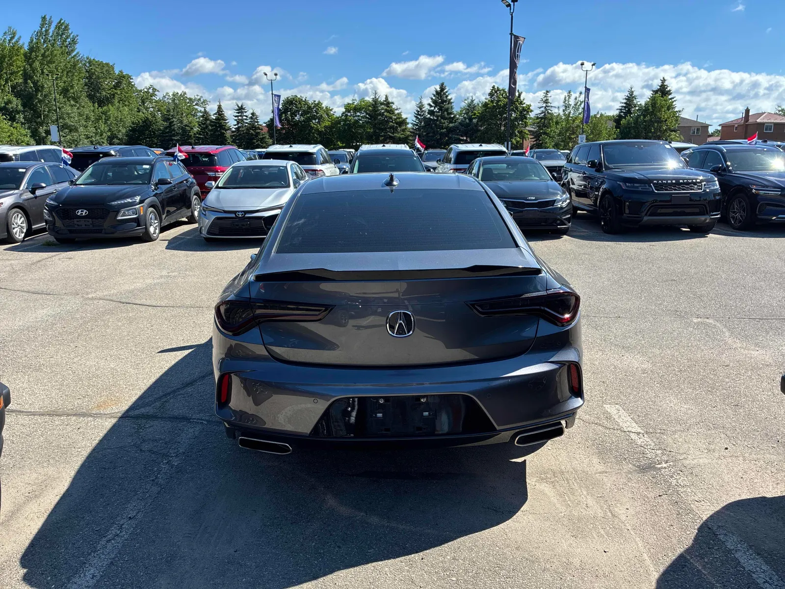Back