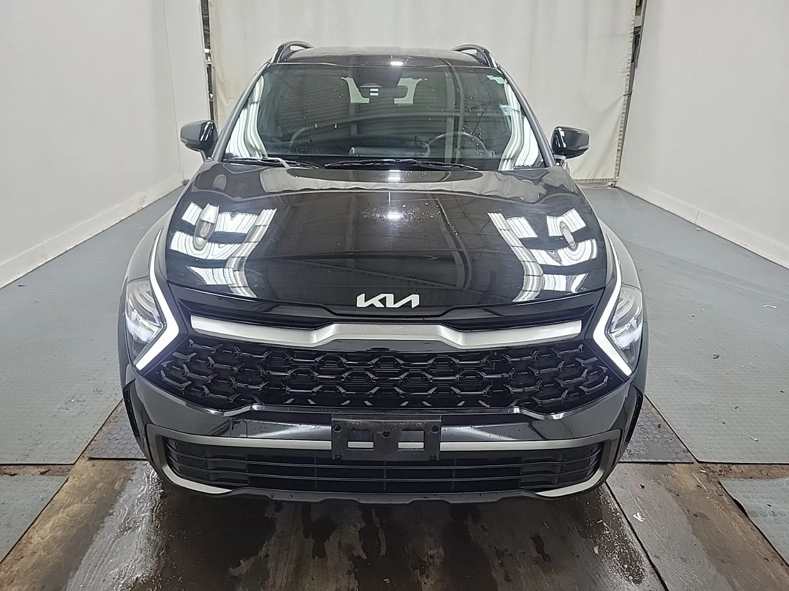 Full Front Photo