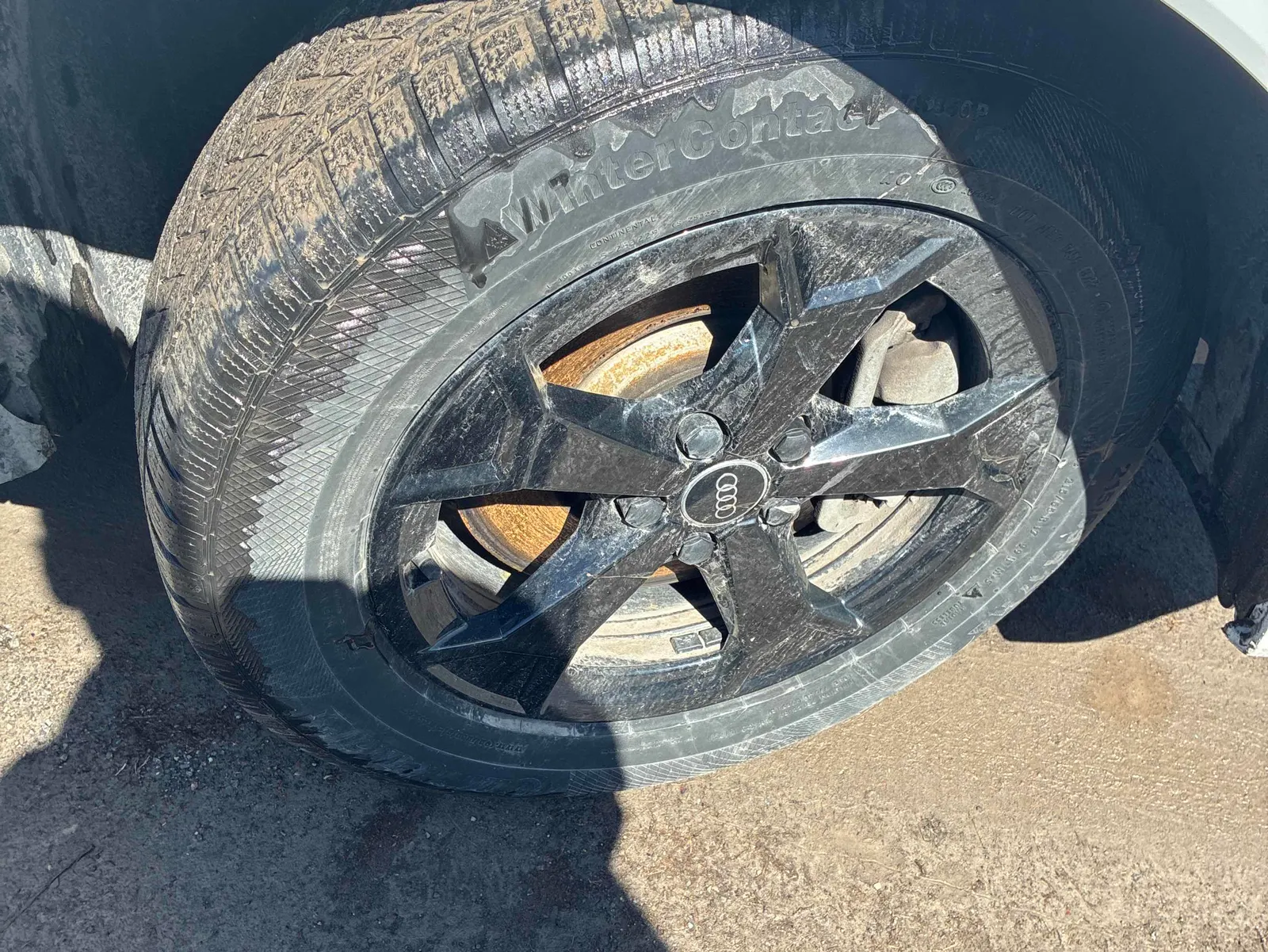 Tire
