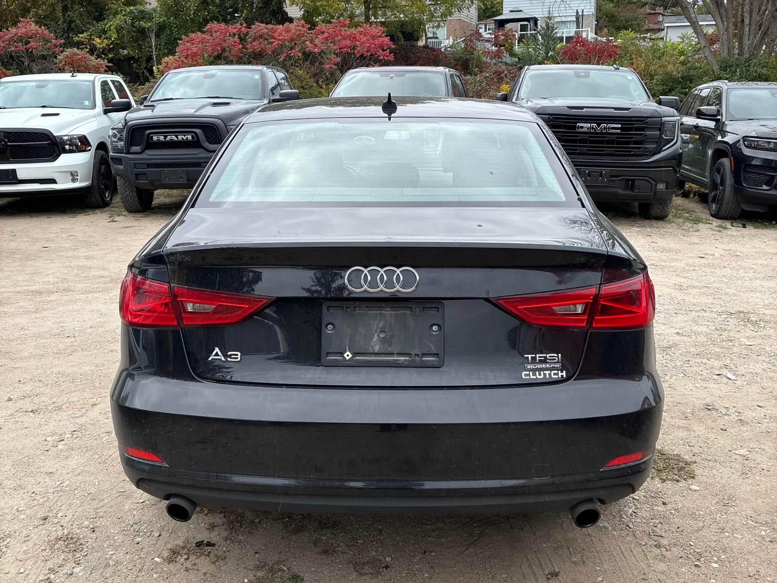 Back