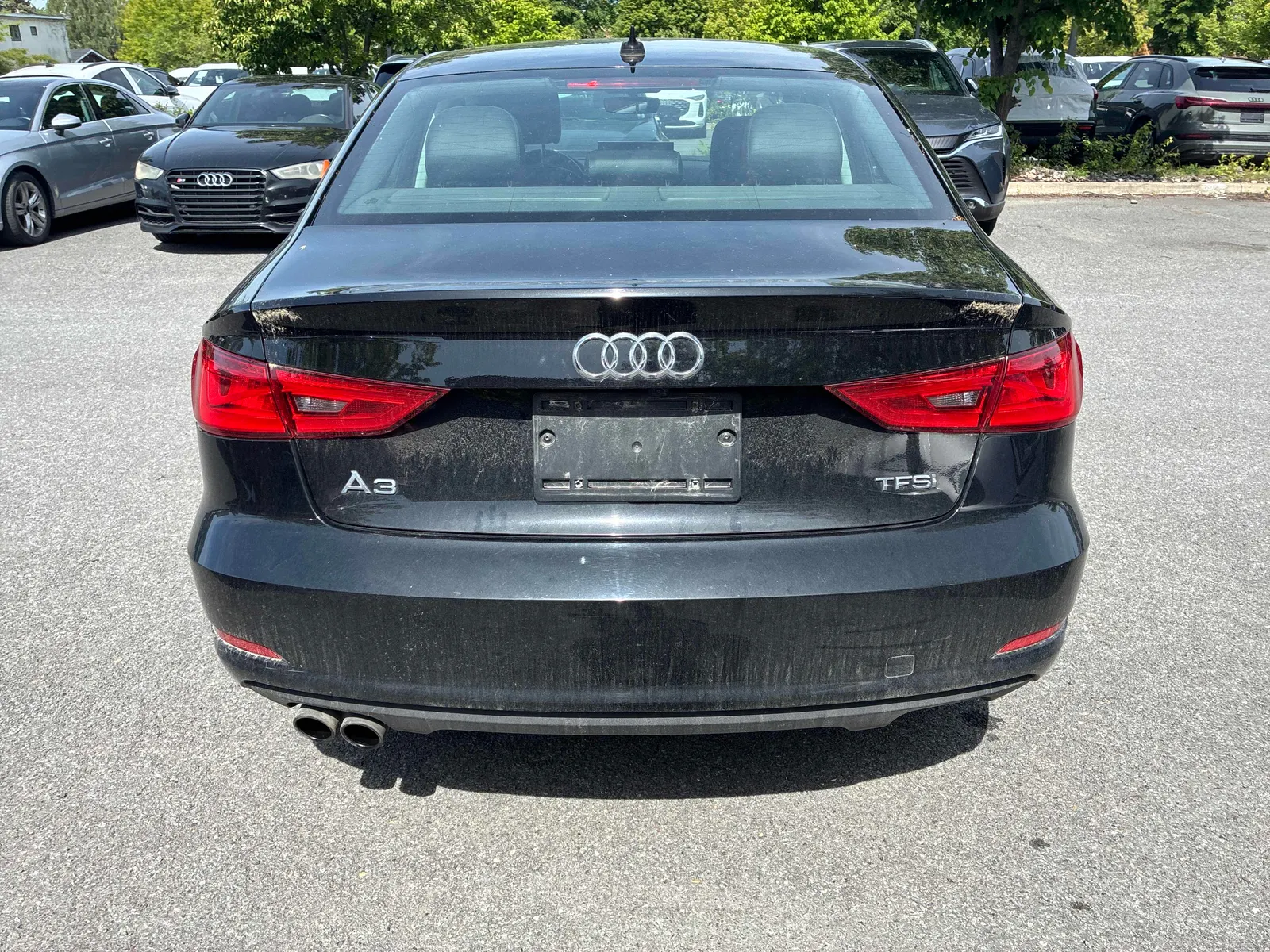 Back