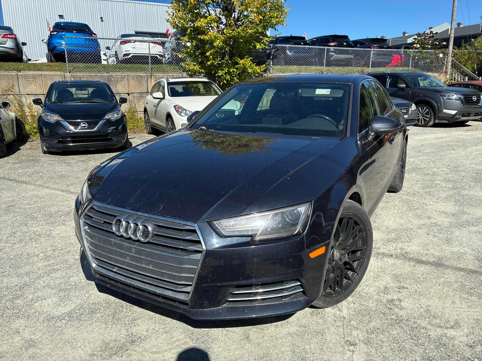 3/4 Front (Main image)