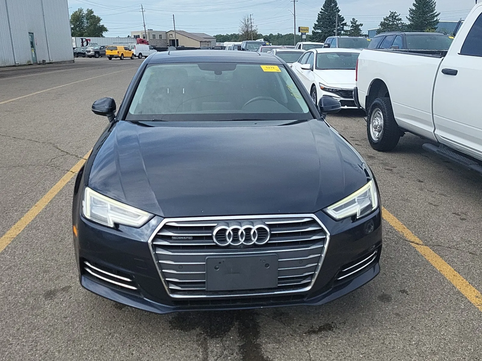 Full Front Photo