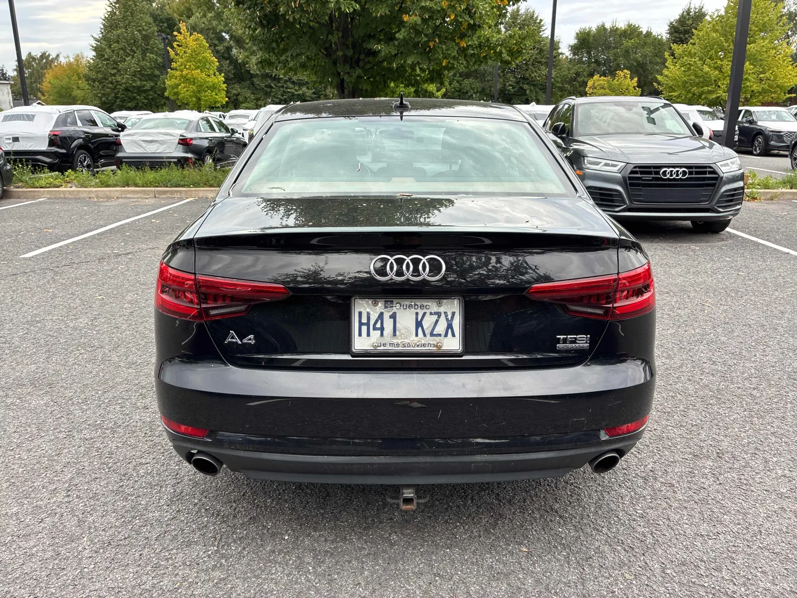 Back