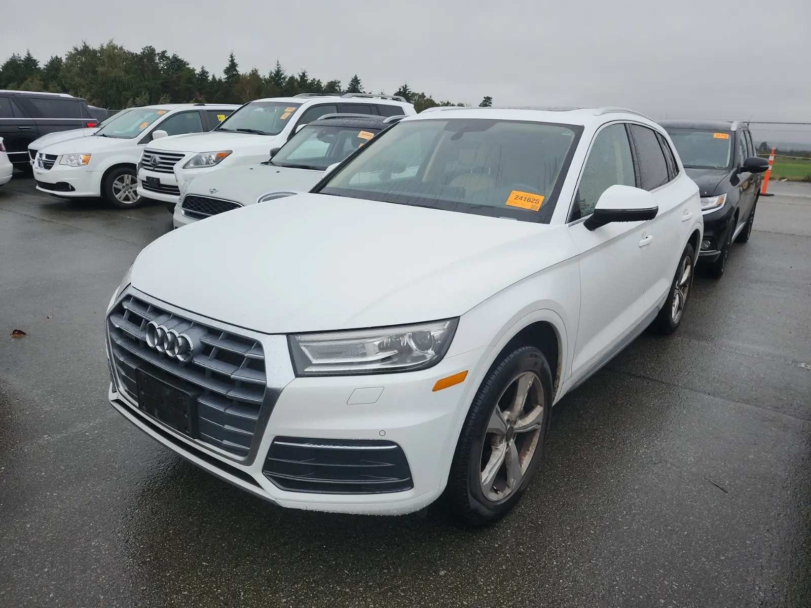 2019 Audi Q5