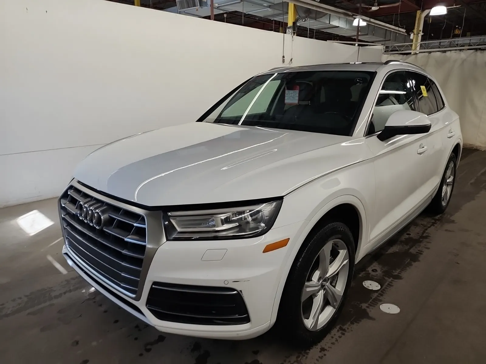 2019 Audi Q5