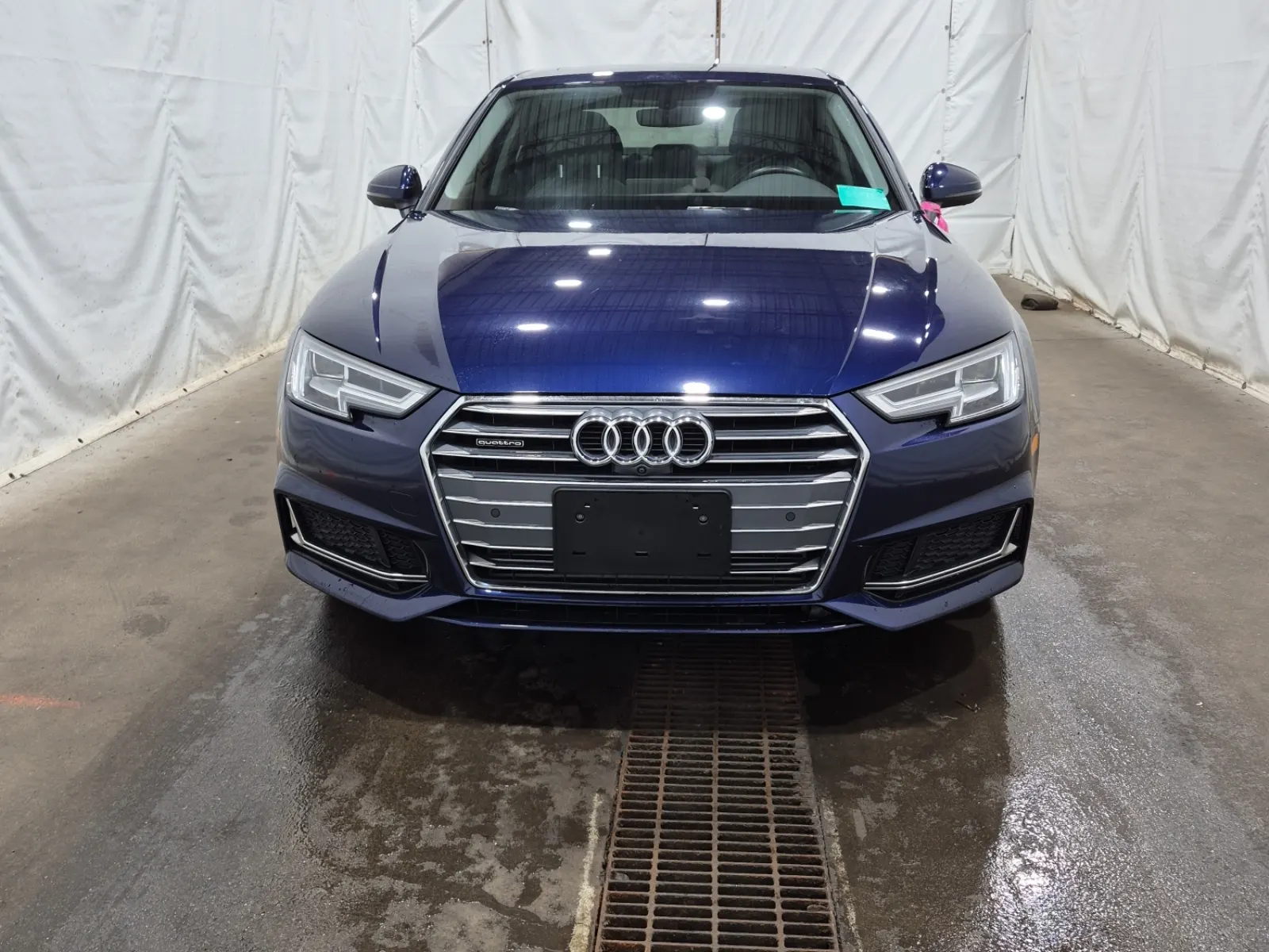 Full Front Photo