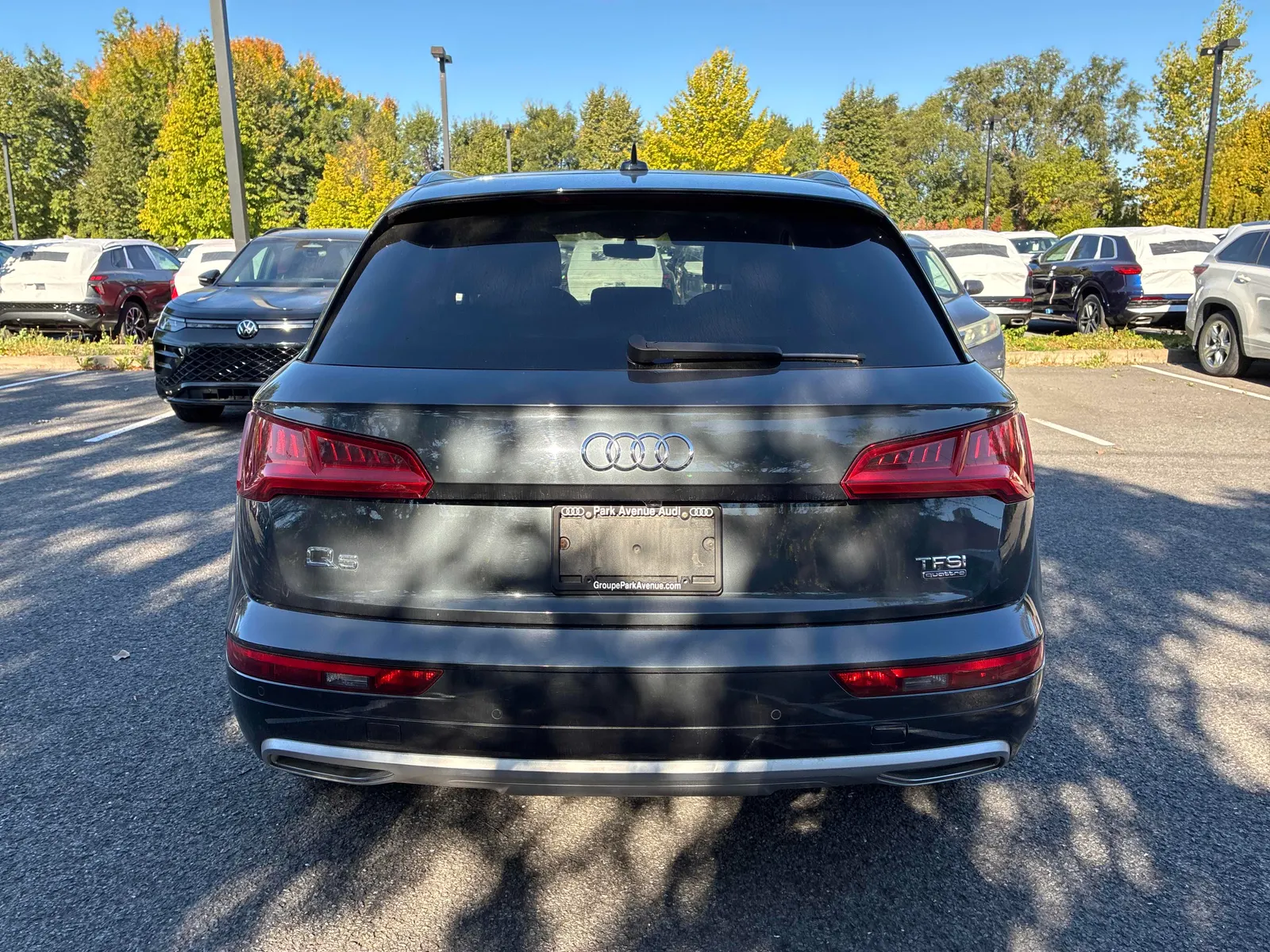 Back