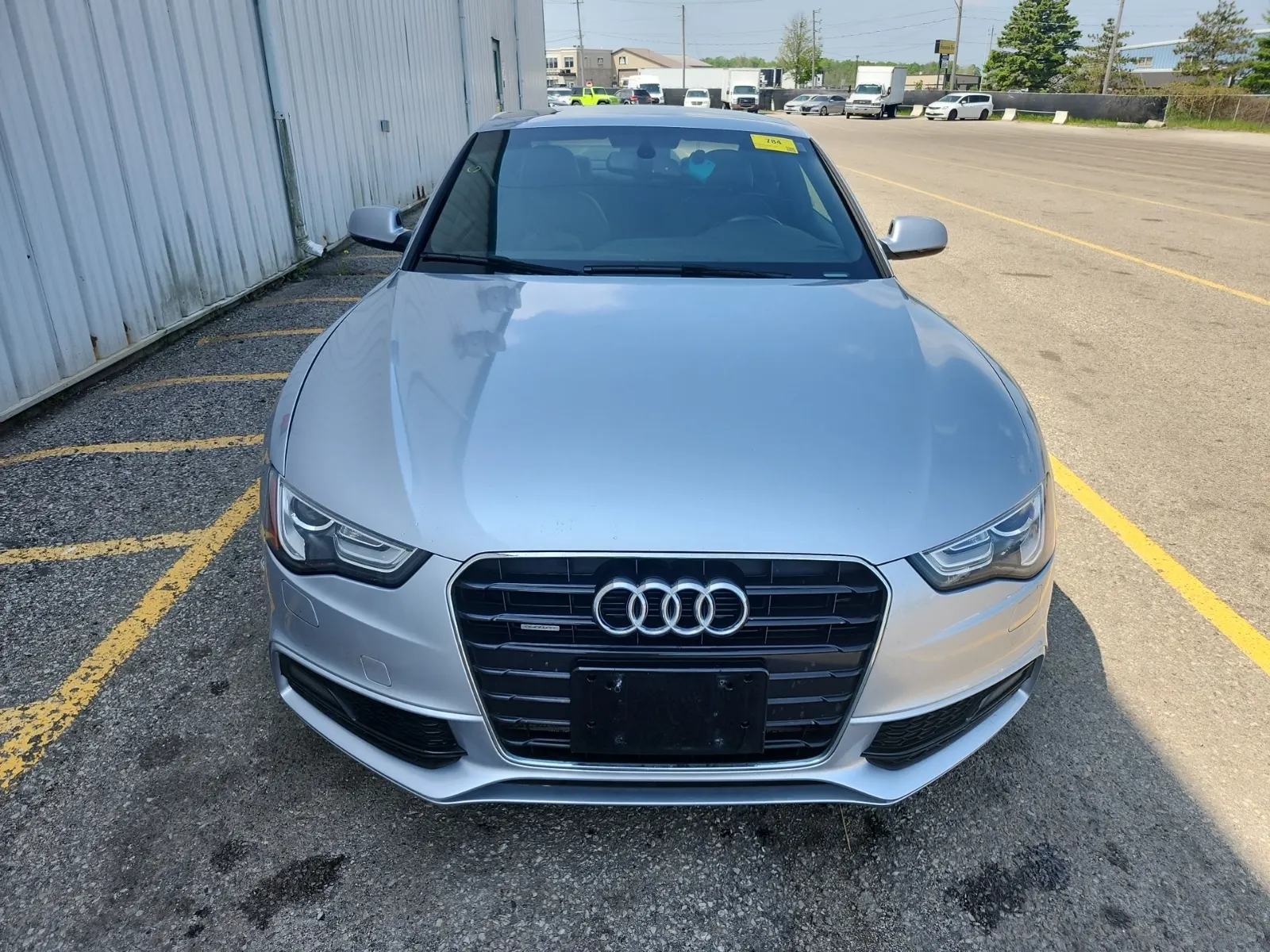 Full Front Photo