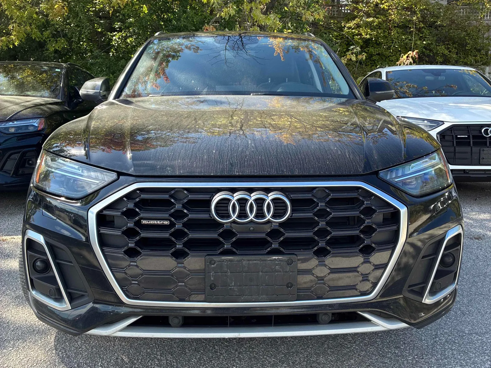 Front