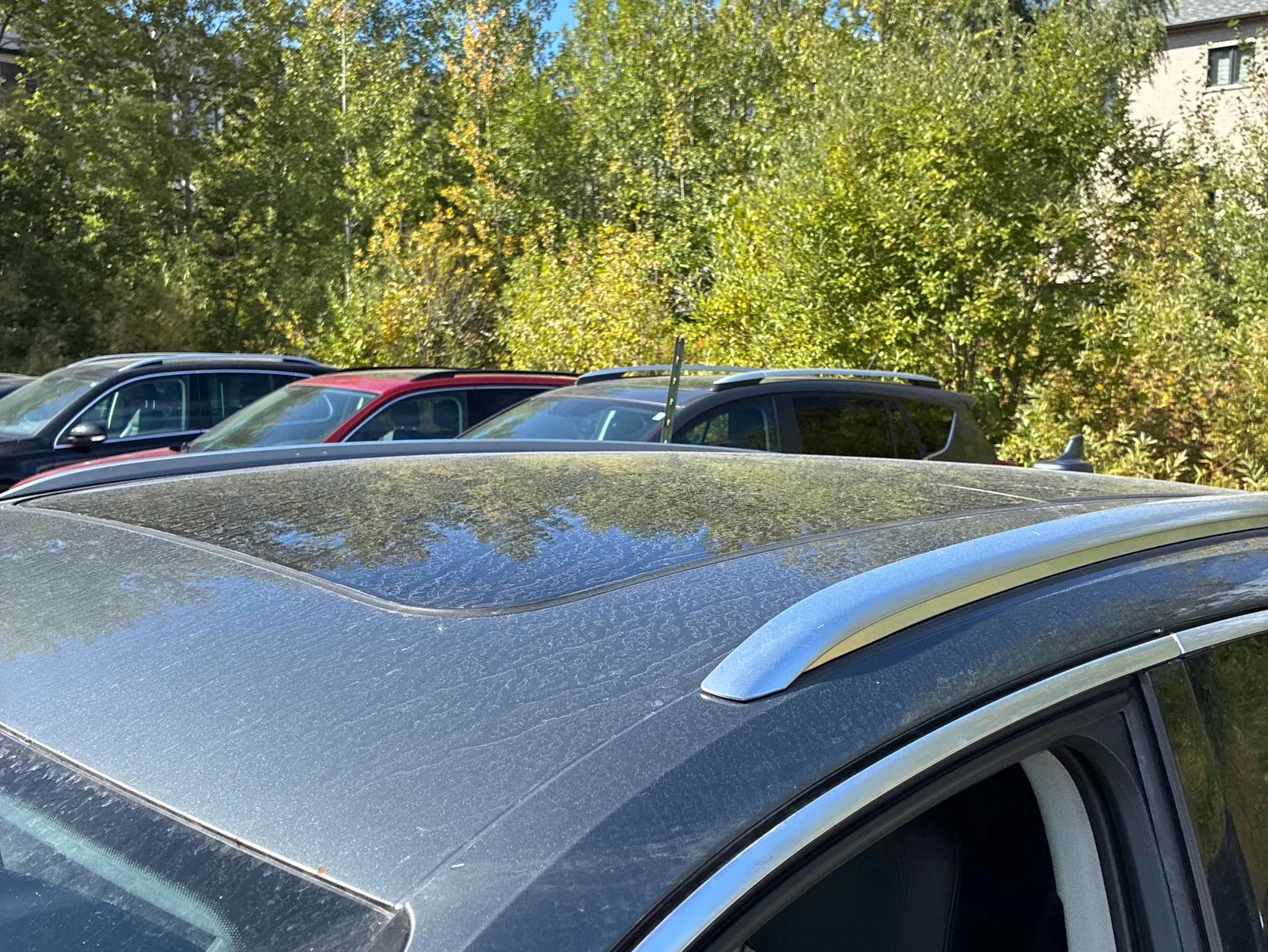 Additional Photo