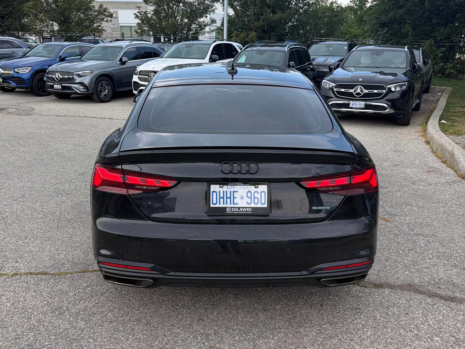 Back
