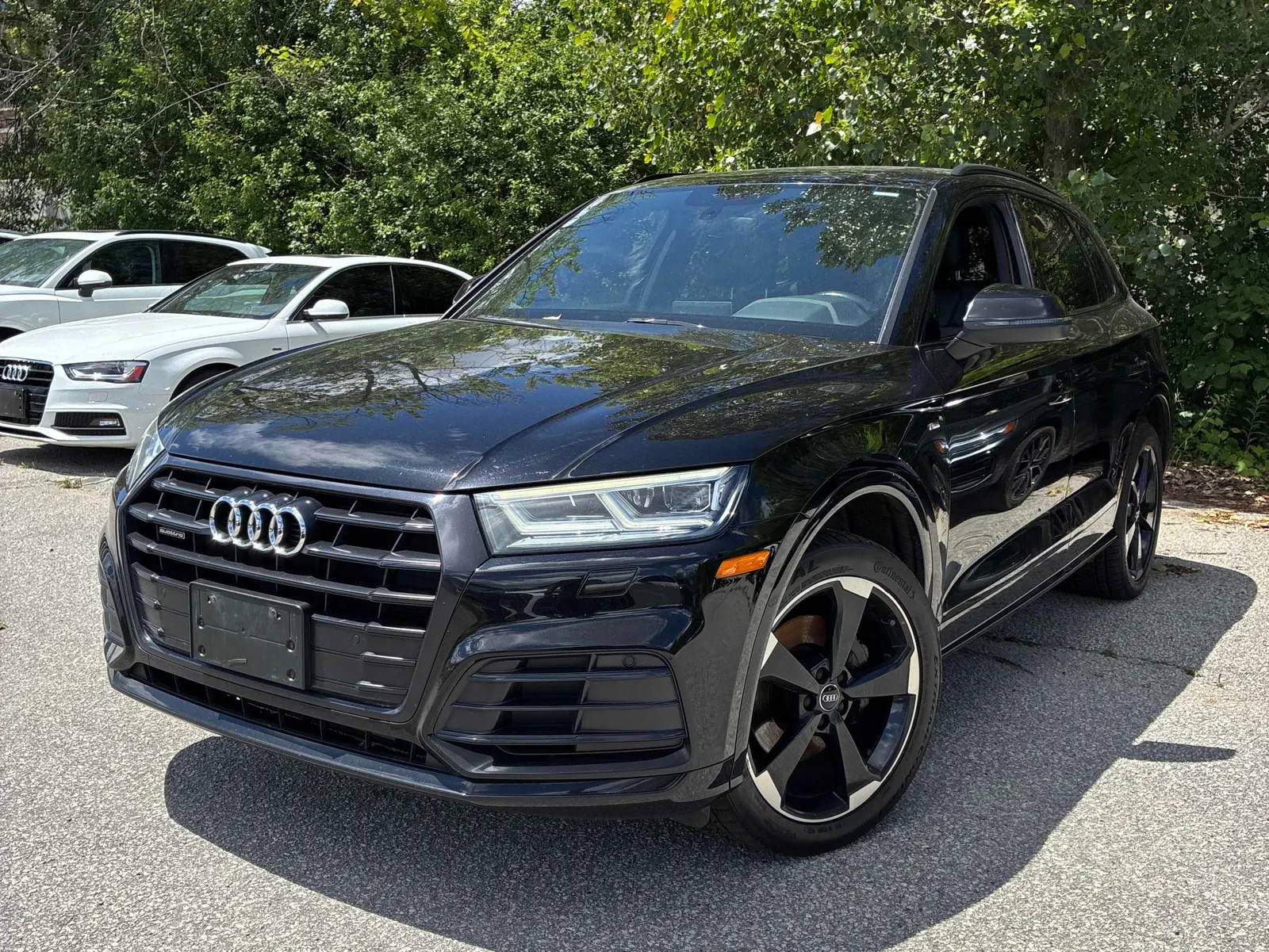 2019 Audi Q5