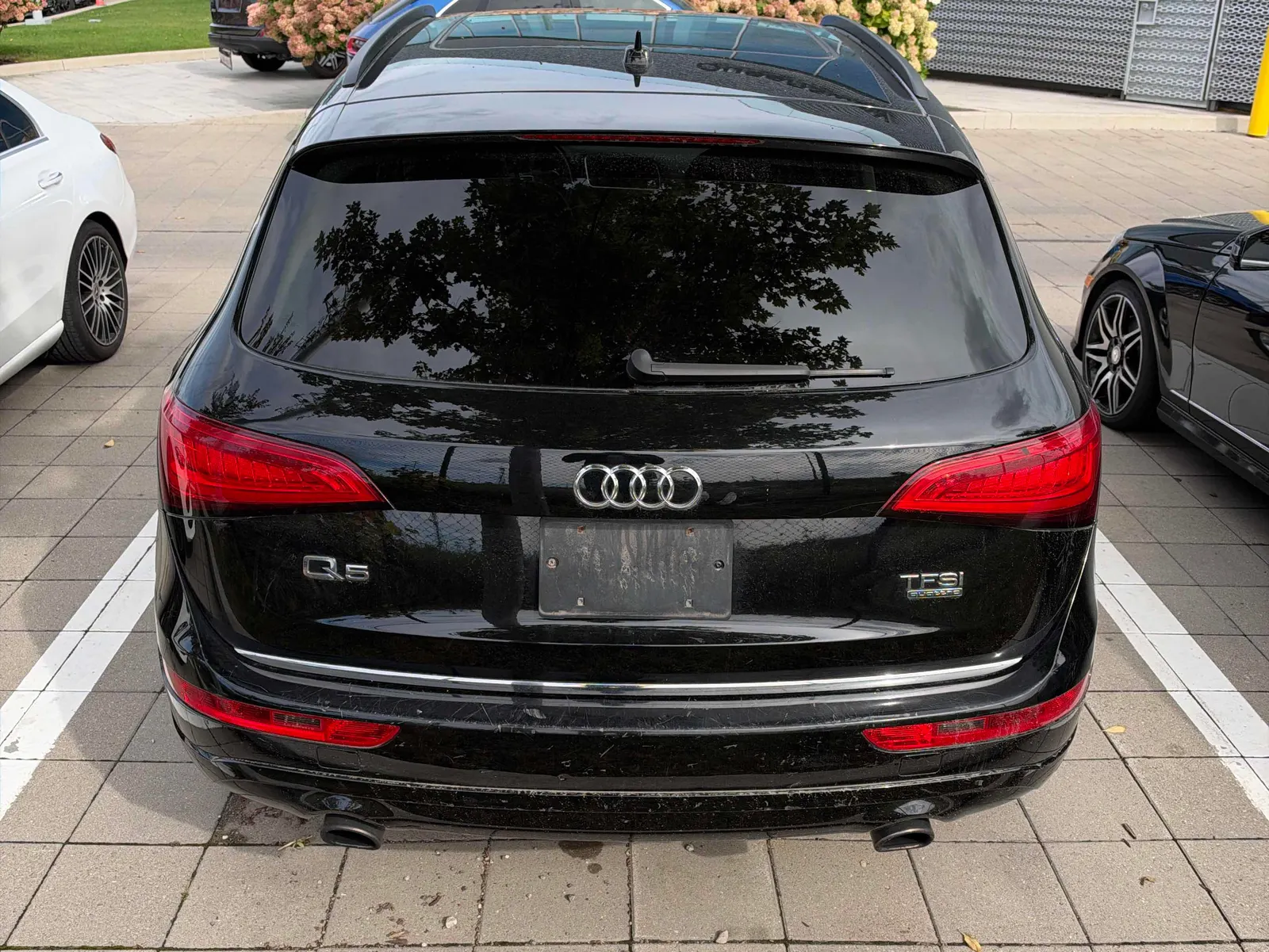 Back