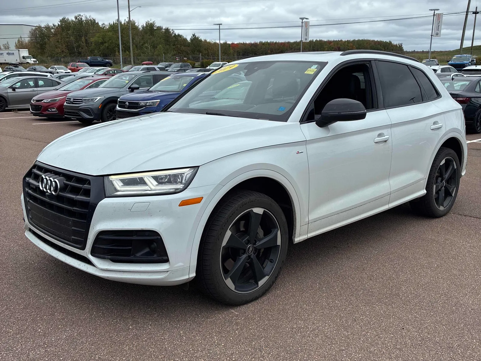 2019 Audi Q5